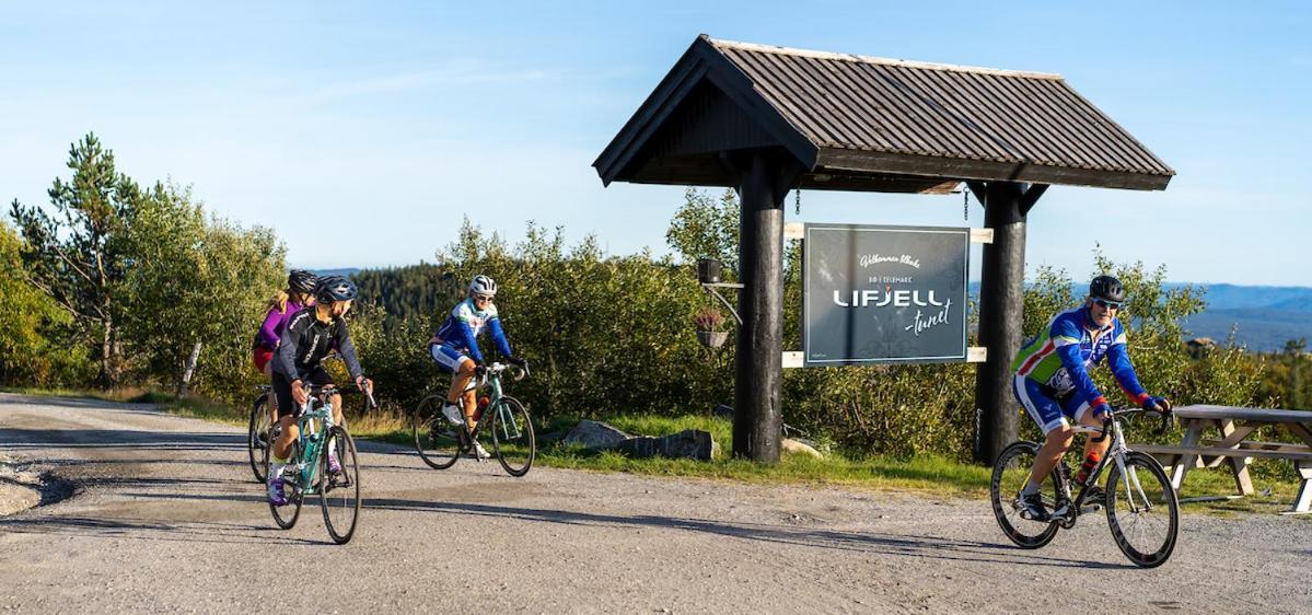 Lifjelltunet