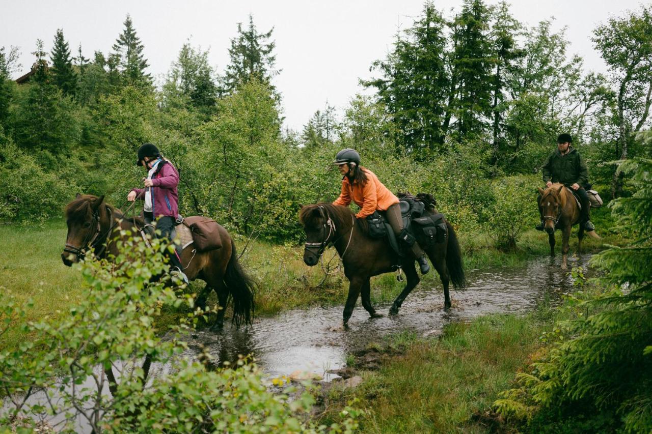 Lifjelltunet Lodge
